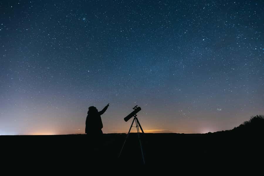 Hurghada: Sea & Desert Horse Tour, Stargazing, Dinner & Show - Value Check: Why the Price Works (and When to Choose a Shorter Option)