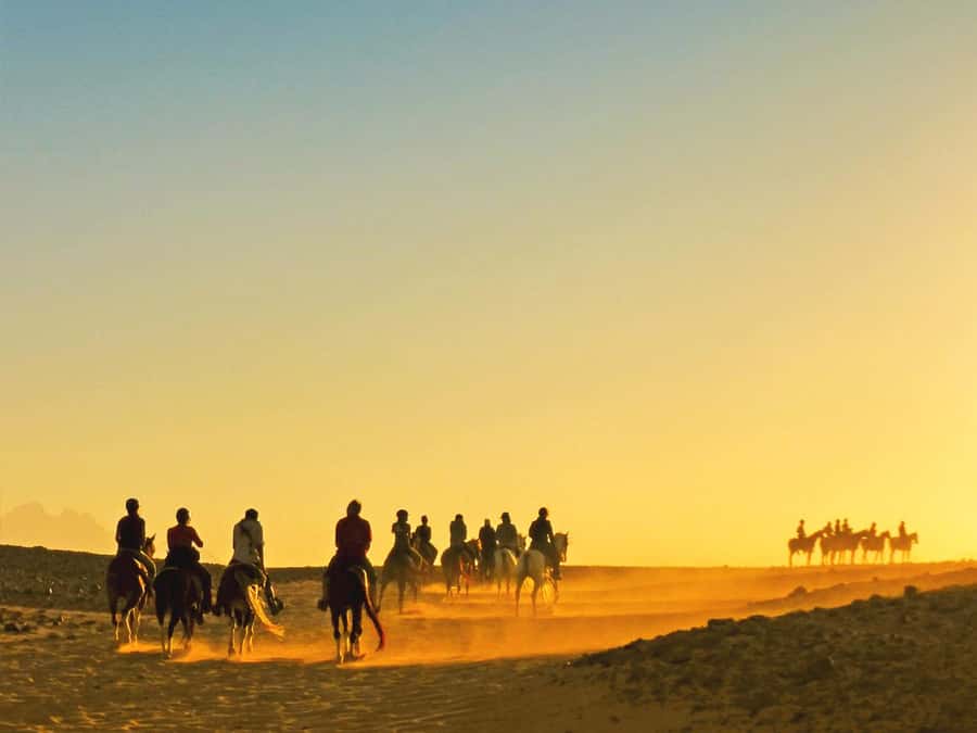 Hurghada: Sea & Desert Horse Tour, Stargazing, Dinner & Show - Sunrise, Midday, or Sunset: How Timing Changes the Whole Experience