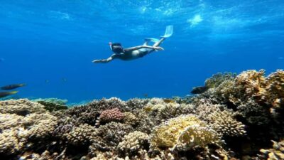 Hurghada: Snorkeling 6 x 1 to Orange Bay w Diving & Massage - The yacht rhythm: how the schedule actually feels on a 510-minute day
