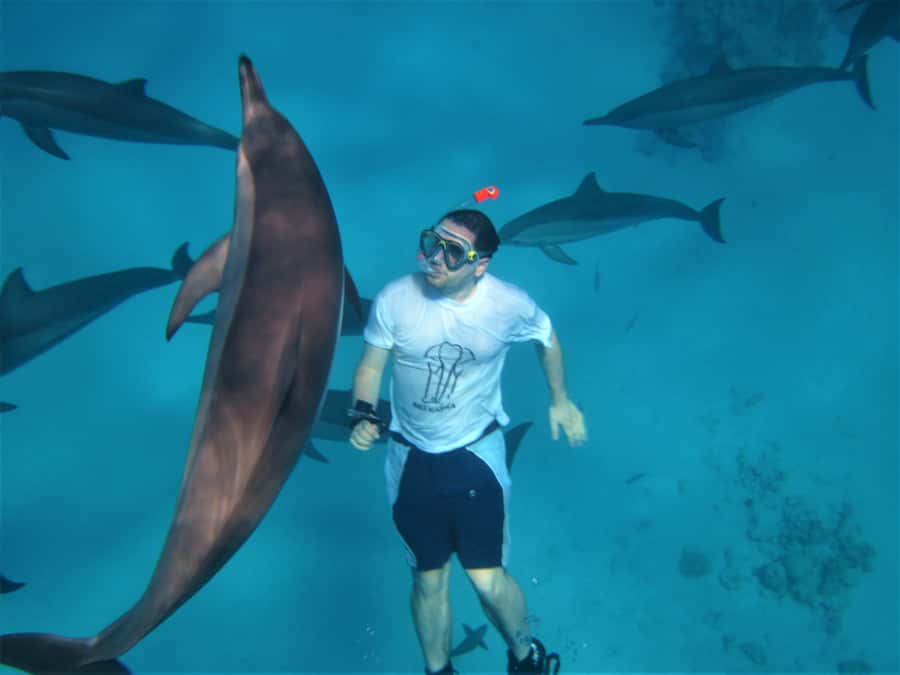 Hurghada: Speedboat Dolphin Watching & Snorkeling with Lunch - Key things I’d mark on your mental map
