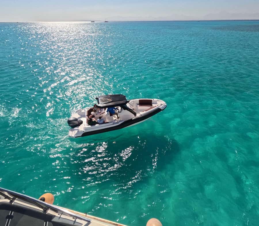 Hurghada: Speedboat Dolphin Watching & Snorkeling with Lunch - Dolphin time: the part you can’t fully control (and that’s okay)