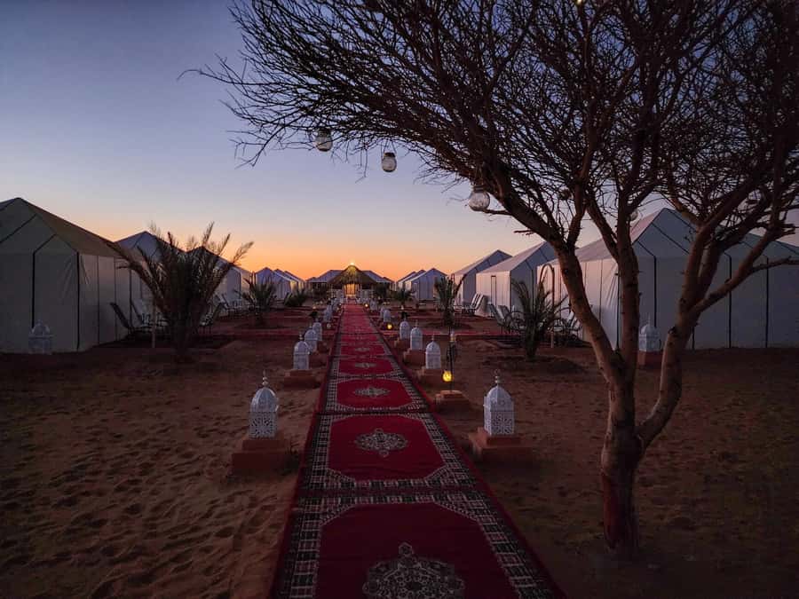Majestic Desert: 3-Day Luxury Journey from Marrakech to Fes - Who this Morocco journey is best for (and who should rethink it)