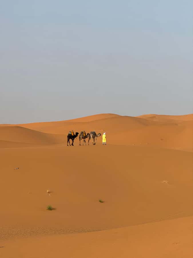 Majestic Desert: 3-Day Luxury Journey from Marrakech to Fes - Desert camp comfort vs winter reality (what to plan for)