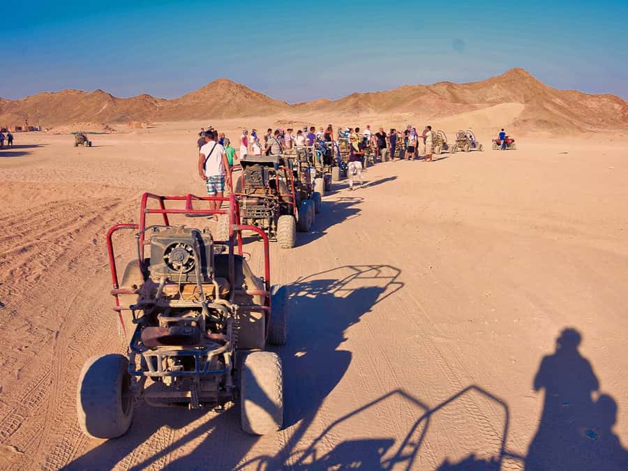 Makadi Bay: ATV, Sea View, Camel, Stargazing, Dinner & Show - Makadi Bay quad biking with sea views: why it feels worth $16