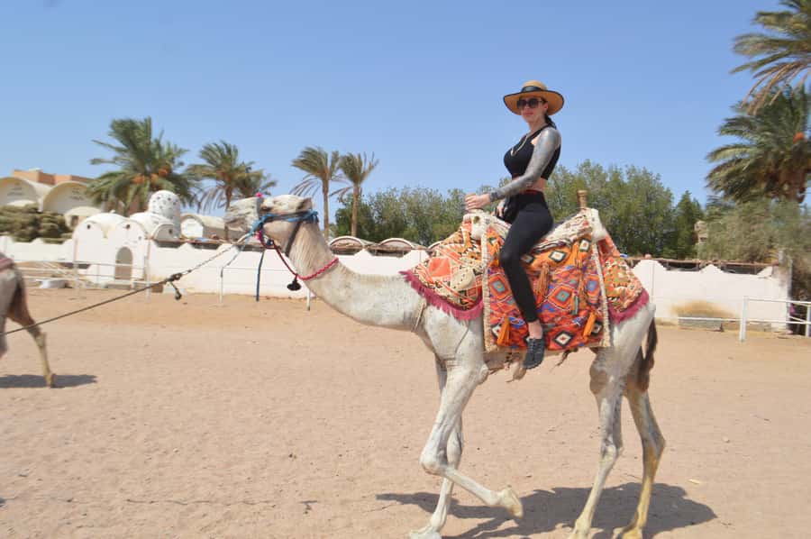 Makadi Bay: ATV, Sea View, Camel, Stargazing, Dinner & Show - Camel ride for photos: quick by default, longer if you add it