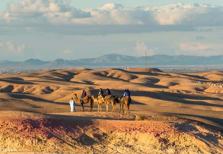 Marrakech: Agafay Desert Dinner Show with Quad Bike & Camel - Camel Ride at Sunset: Short, Scenic, and Often the Most Serene Part