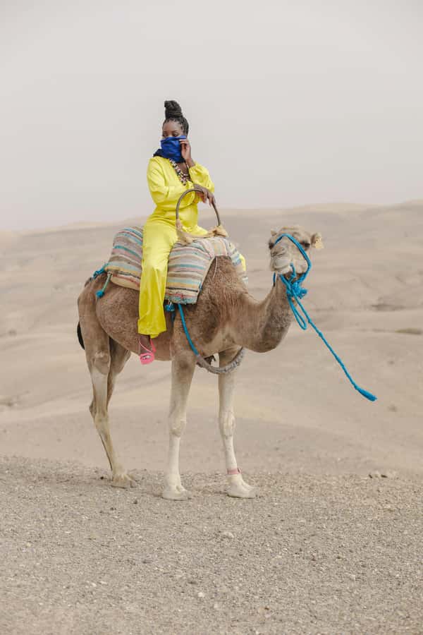 Marrakech: Agafay Desert Quad Bike with Camels & Dinner Show - Price and value: where the $22 per person actually lands