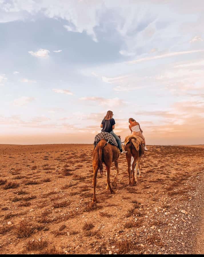 Marrakech: Agafay Desert Quad, Camel Ride & Dinner Show - Desert camp dinner: tagine, couscous, and a real evening meal