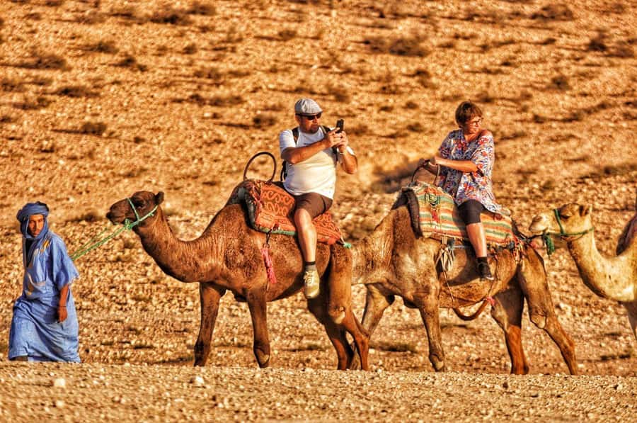 Marrakech: Agafay Desert Quad & Camel Rides with Dinner Show - Should You Book This Agafay Quad, Camel, Dinner Show?