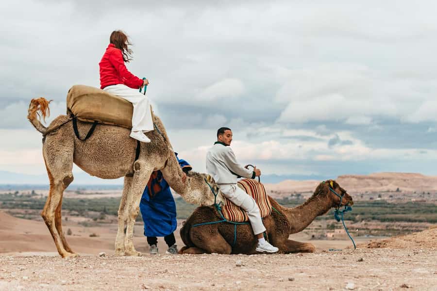 Marrakech: Agafay Desert Retreat, Tent, Dinner, Show & Pool - Quad Bikes and Camel Rides: Fun Add-Ons, Not Guaranteed In-Price