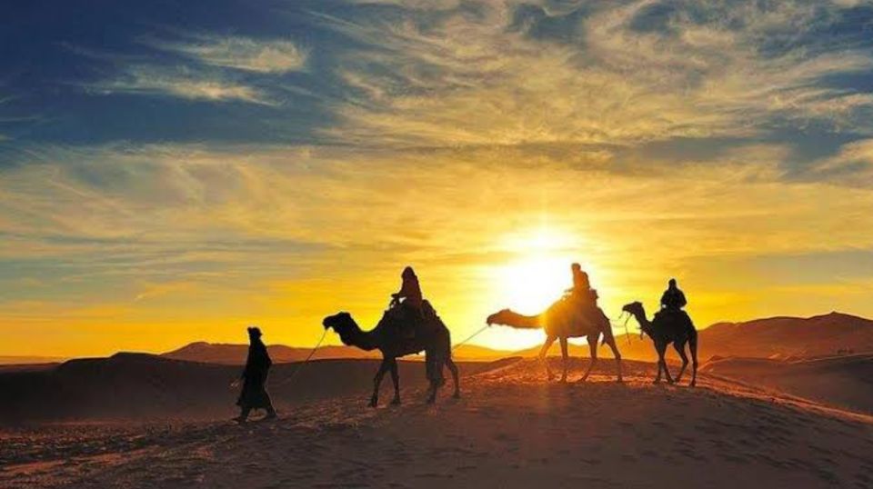 Marrakech: Agafay Desert Sunset, Camel Ride, and Dinner Show - Who Should Book This Agafay Sunset Dinner Show