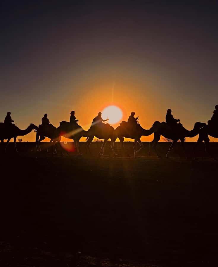 Marrakech: Agafay Desert Sunset, Camel Ride, and Dinner Show - Argan Oil and Moroccan Tea: The Stop That Makes It Feel Local