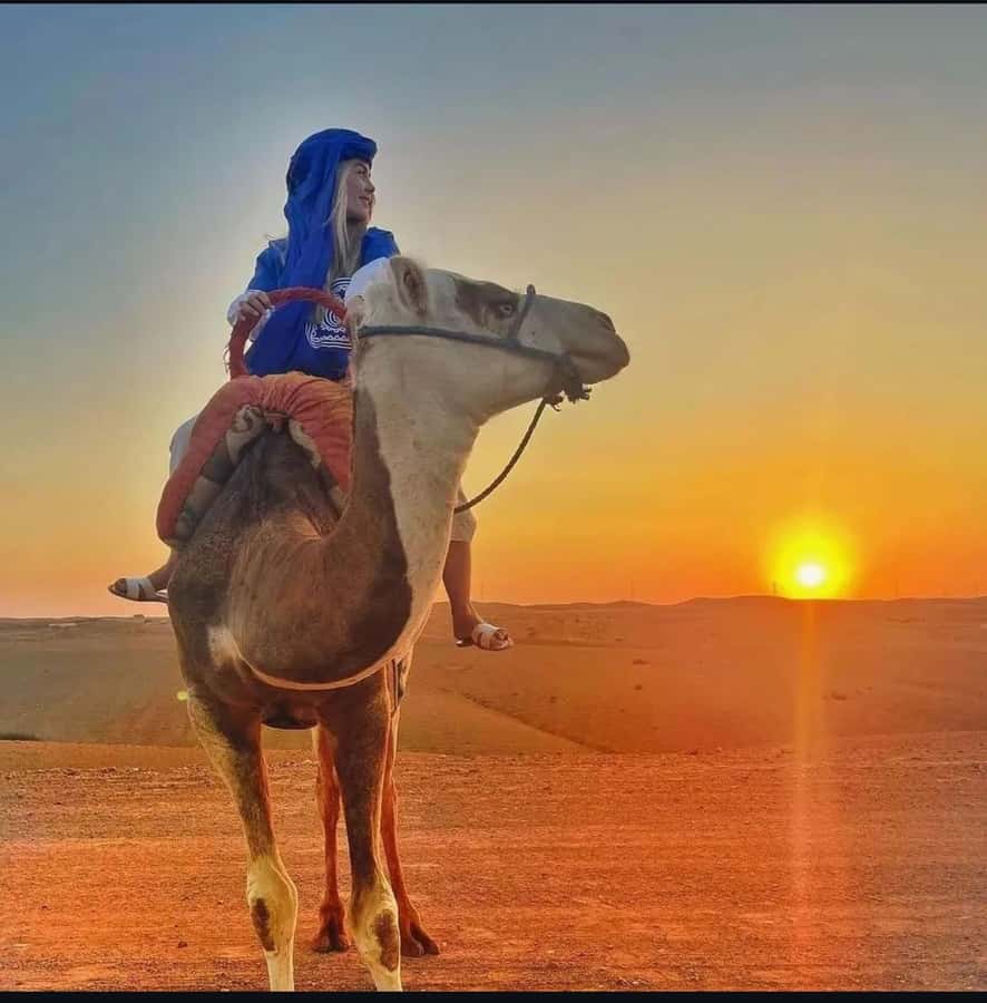 Marrakech: Agafay Desert Sunset, Camel Ride, and Dinner Show - Price and Value: Is $20 a Fair Deal for All This?