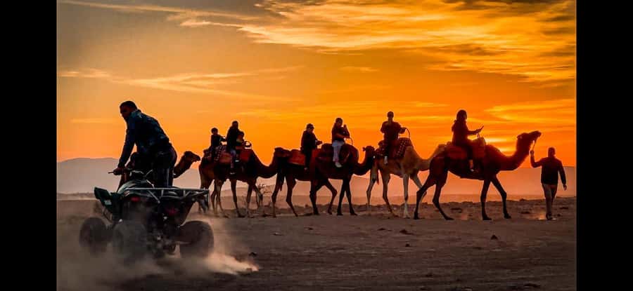 Marrakech: Agafay Dinner Show, Camel Ride, Quad, or Buggy - Price and value: is $35 really fair?