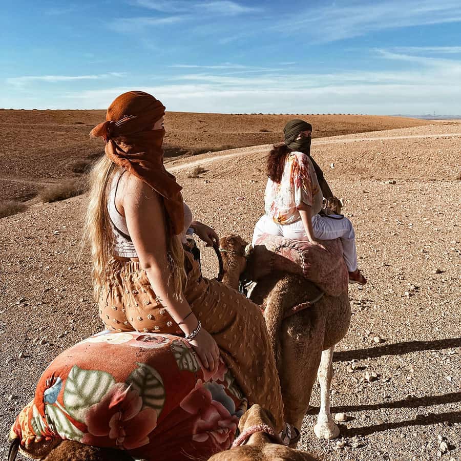 Marrakech: Agafay Quad Tour with Camel Ride, Dinner & Show - Price and Logistics: Is $26 Good Value in Marrakech?
