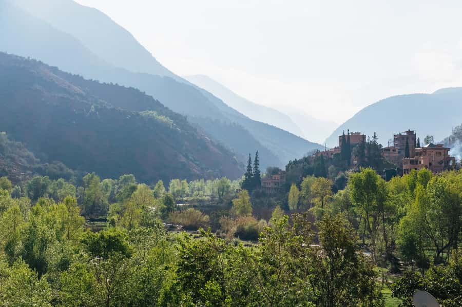 Marrakech: Atlas Mountains and 5 Valleys Day Tour with Lunch - Ourika Valley: tea, photo stops, and that first big mood shift