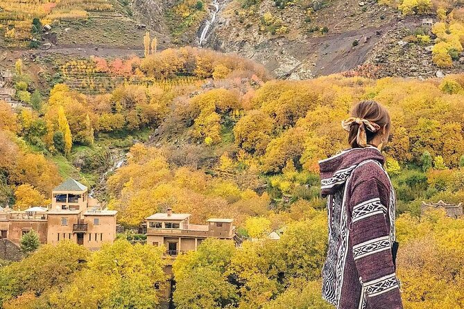 Marrakech: Atlas Mountains, Berber Villages, Agafay & Camel Ride - Food, Water, and the Tea Stops You’ll Actually Remember