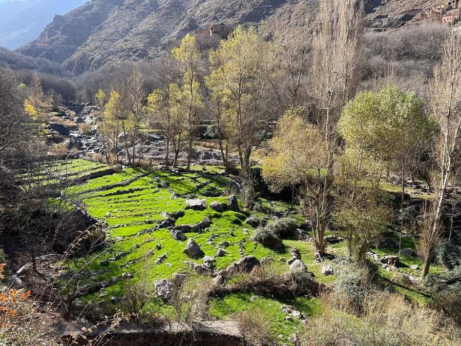 Marrakech: Atlas Mountains, Camel Ride, Waterfalls, & Lunch - Imlil and the market stop: where the day feels local