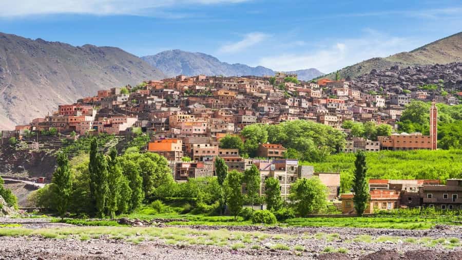 Marrakech: Atlas Mountains, Camel Ride, Waterfalls, & Lunch - Lala Takerkoust camel ride: fun, bumpy, and very Moroccan