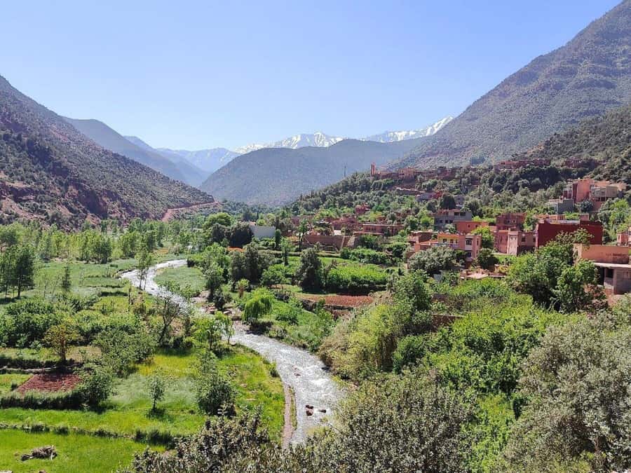 Marrakech: Atlas Mountains, Ourika Valley, Waterfall & Lunch - Berber House Stop: Breakfast, Tea, and Argan Oil That’s Not Just a Product
