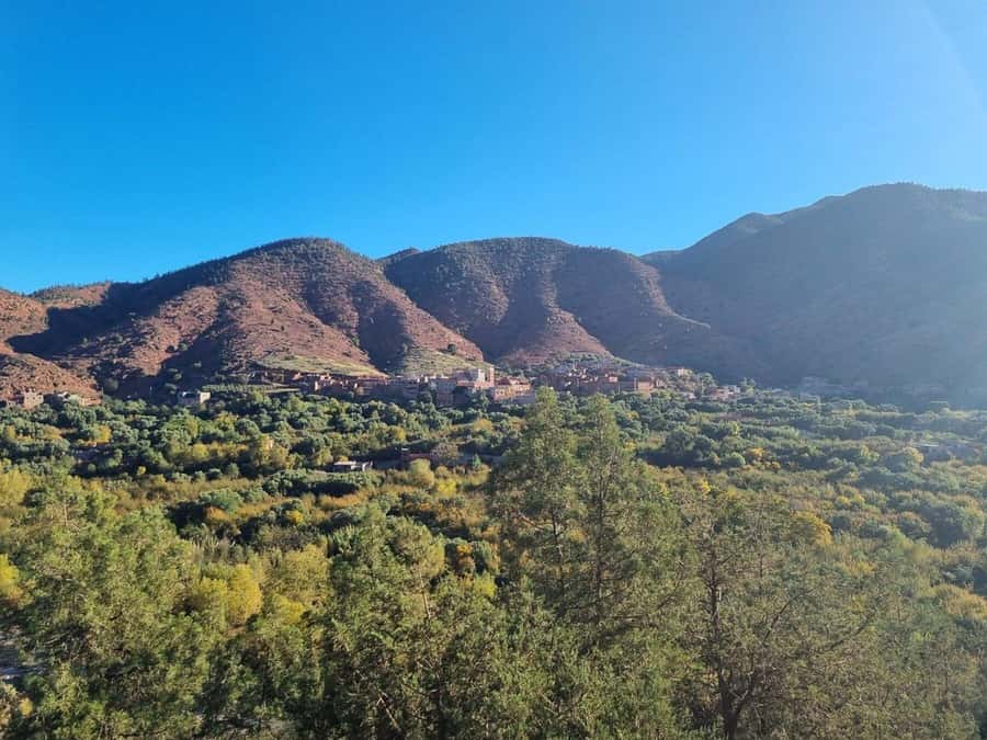 Marrakech: Atlas Mountains, Ourika Valley, Waterfall & Lunch - Tnin Ourika: A Short Cultural Stop and a Manageable Shopping Stretch