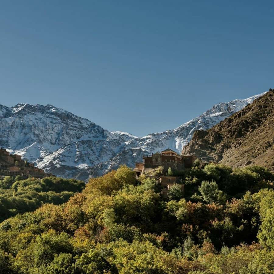 Marrakech: Atlas Mountains & Valleys Waterfall Hike w/ Lunch - Berber Villages and Waterfall Stops: What You’ll Actually See