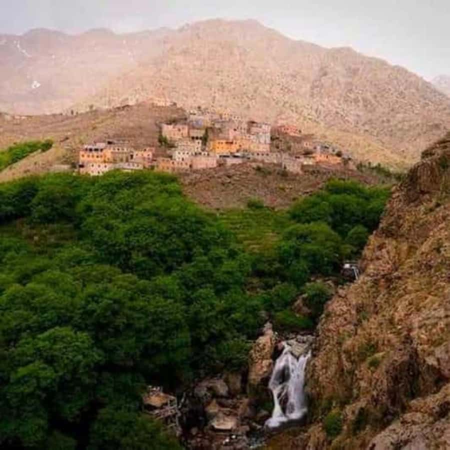 Marrakech: Atlas Mountains & Valleys Waterfall Hike w/ Lunch - Guides and Drivers: The People Who Make the Day Feel Easy