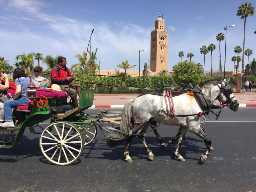 Marrakech: Bahia Palace, Saadian Tombs, & Koutoubia Mosque - Mellah and synagogue visits: a different Marrakech story