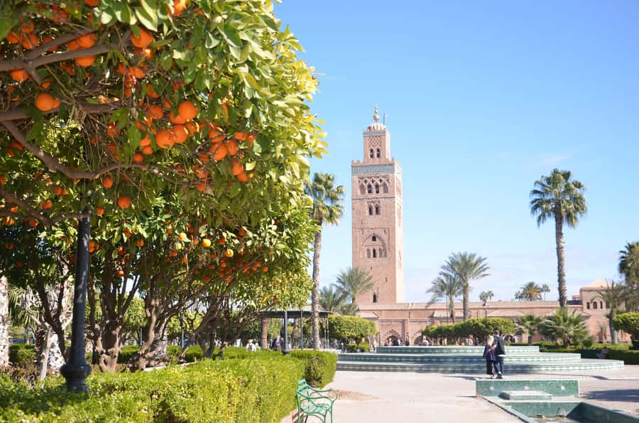 Marrakech: Bahia Palace, Saadian Tombs, Souk and Medina Tour - Key things I’d circle before you go