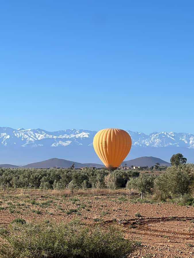 Marrakech: Balloon Flight, Berber Breakfast & Certificate - The Certificate and Why This Morning Feels Like a Milestone