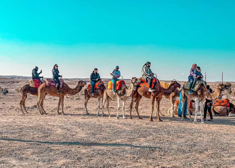Marrakech: Camel Ride, Dinner, Pool, and Fire Show in Agafay - From Marrakech pickup to Agafay sunset: the flow of the evening