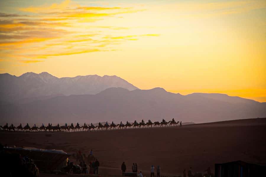 Marrakech: Camel Ride, Dinner, Pool, and Fire Show in Agafay - The fire show: why it’s the best closing act