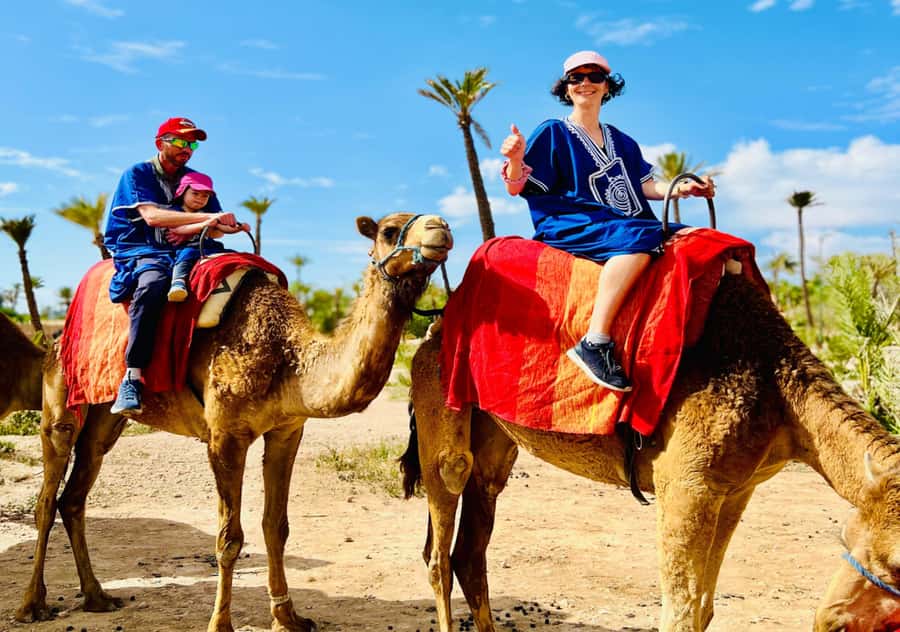 Marrakech: Camel Ride in the Oasis Palmeraie - Key Points You’ll Care About