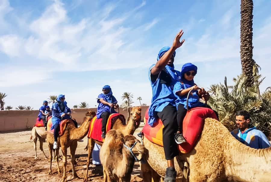 Marrakech: Camel Ride in the Oasis Palmeraie - Should You Book This Marrakech Camel Ride in the Oasis Palmeraie?
