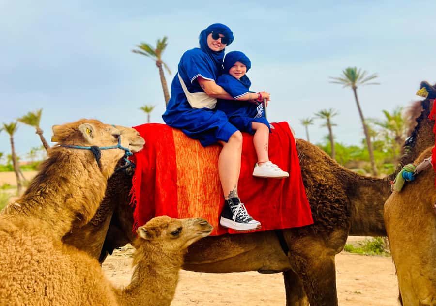 Marrakech: Camel Ride in the Oasis Palmeraie - Why the Palmeraie Camel Ride Feels Like the Right Size for Marrakech