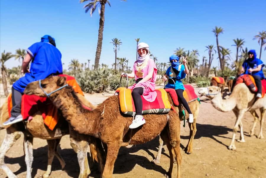 Marrakech: Camel Ride in the Oasis Palmeraie - The Palmeraie Camel Route: Palms, Orange Trees, and Village Life