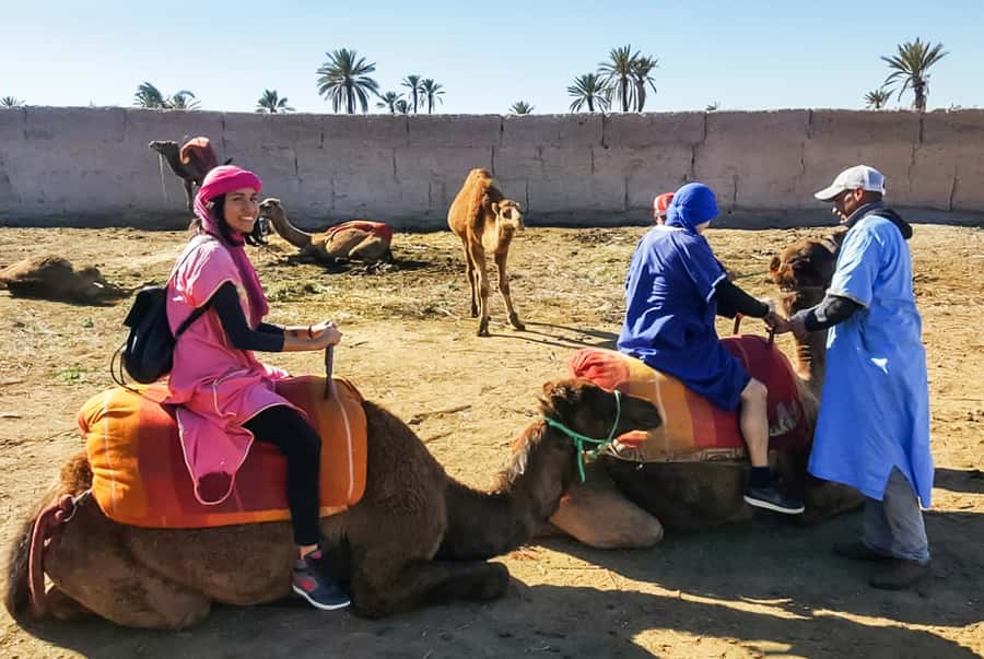 Marrakech: Camel Ride in the Oasis Palmeraie - The Mint Tea Stop in a Nomadic Area: Where the Pace Slows