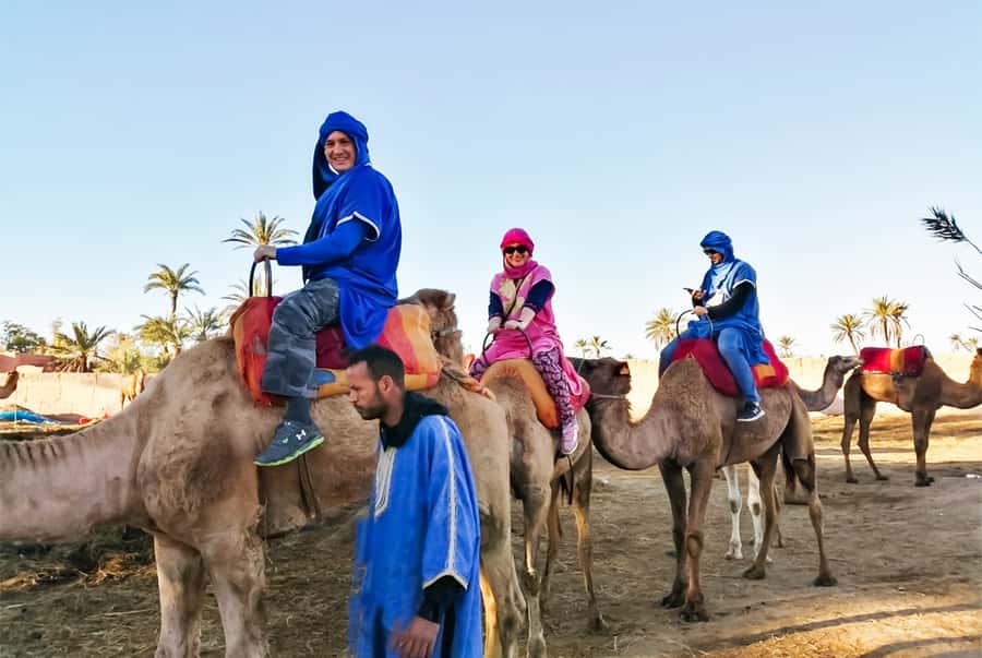 Marrakech: Camel Ride in the Oasis Palmeraie - Value vs Other Marrakech Camel Options: Is $26 Worth It?