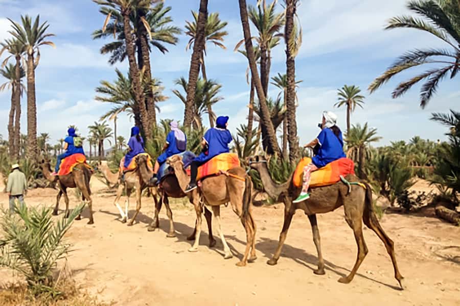 Marrakech: Camel Ride in the Oasis Palmeraie - Who Should Book This Camel Ride (And Who Might Skip It)