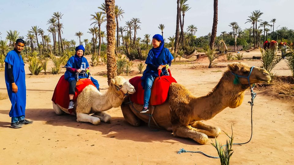 Marrakech: Camel Ride in the Oasis Palmeraie - Practical Tips That Make This Tour Way Easier