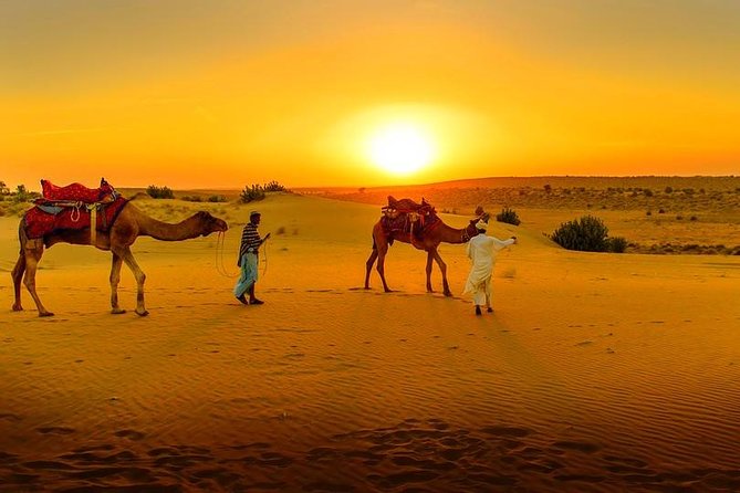 Marrakech Day Trip: Agafay Desert, Atlas Mountains and Camel Ride - Key highlights worth planning around