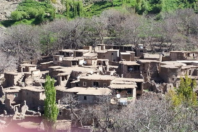 Marrakech Day Trip: Agafay Desert, Atlas Mountains and Camel Ride - Private ride plus a small group (up to 14)
