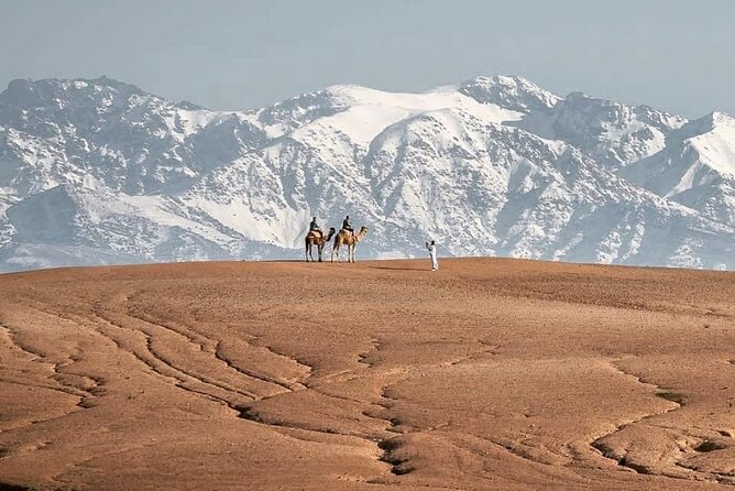 Marrakech Desert Tour & Sunset Camel Ride with Dinner Show - Camel ride experience: what actually makes it fun