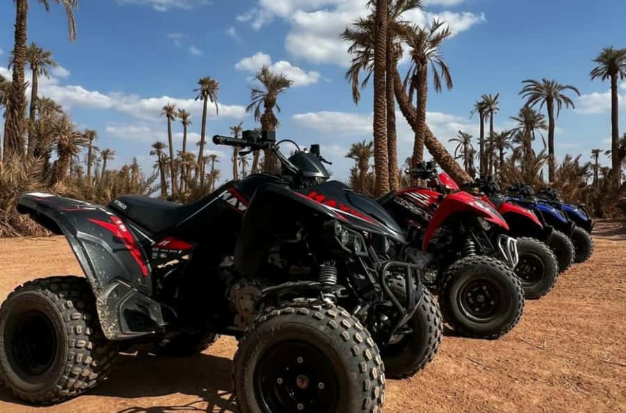 Marrakech: Dunes of the Palmeraie Quad Bike Ride with Tea - Should you book Marrakech Dunes of the Palmeraie quad bike with tea?