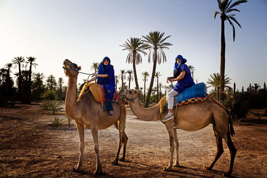 Marrakech: Half-Day Camel Ride in Palm Grove - Meeting the Camel Crew and Getting Dressed