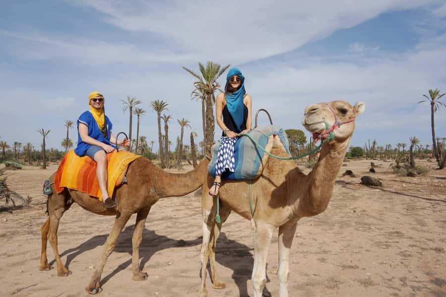 Marrakech: Half-Day Camel Ride in Palm Grove - Safety, Comfort, and What to Expect if You’re Worried