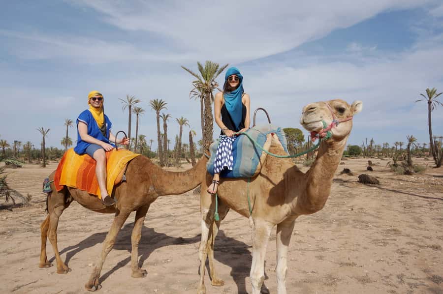 Marrakech: Half-Day Camel Ride in Palm Grove - Van Pickup: Simple, Short, and Actually Helpful