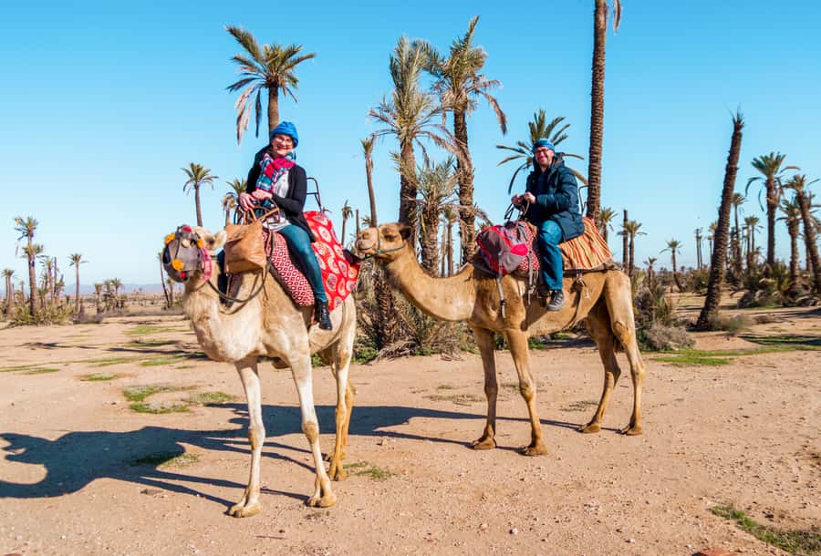 Marrakech: Half-Day Desert Quad Tour with Camel Ride - Key highlights I’d plan around