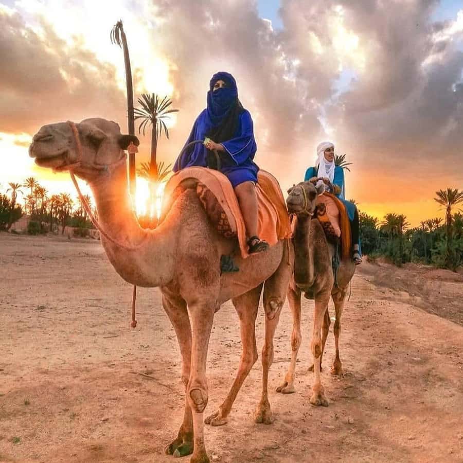 Marrakech: Half-Day Desert Quad Tour with Camel Ride - Camels, Safety, and Ethics: What to Watch for