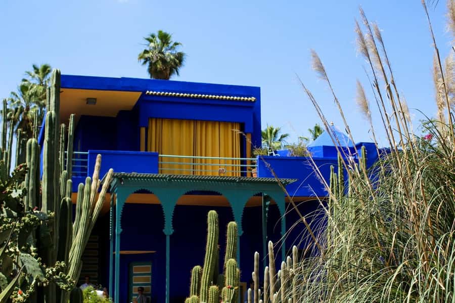 Marrakech: Majorelle Garden, YSL, and Berber Museum Entry - Majorelle Garden: Marrakech’s oasis start (and how to enjoy it)